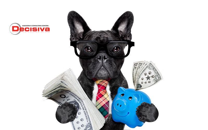 Gestão financeira - Como realizar para o meu pet shop?