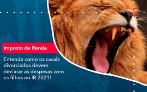 Entenda Como Os Casais Divorciados Devem Declarar As Despesas Com Os Filhos No Ir 2021 1 - Contabilidade em São Paulo | Decisiva Assessoria e Consultória Contábil