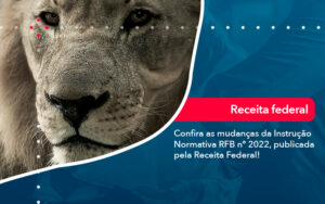 Confira As Mudancas Da Instrucao Normativa Rfb N 2022 Publicada Pela Receita Federal - Contabilidade em São Paulo | Decisiva Assessoria e Consultória Contábil