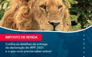 Confira Os Detalhes Da Entrega Da Declaracao Do Irpf 2021 E O Que Voce Precisa Saber Sobre 1 - Contabilidade em São Paulo | Decisiva Assessoria e Consultória Contábil