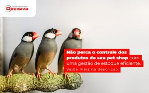 Nao Perca O Controle Dos Produtos Do Seu Pet Shop Com Uma Gestao De Estoque Eficiente Post - Contabilidade em São Paulo | Decisiva Assessoria e Consultória Contábil
