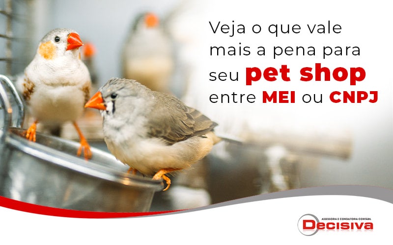 Veja O Que Vale Mais A Pena Para Seu Pet Shop Entre Mei Ou Cnpj Blog - Contabilidade em São Paulo | Decisiva Assessoria e Consultória Contábil