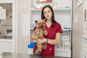 Lucro Presumido para Médicos Veterinários - Imagem de uma veterinária segurando um cachorro